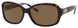 Kate Spade ANNIKA Sunglasses