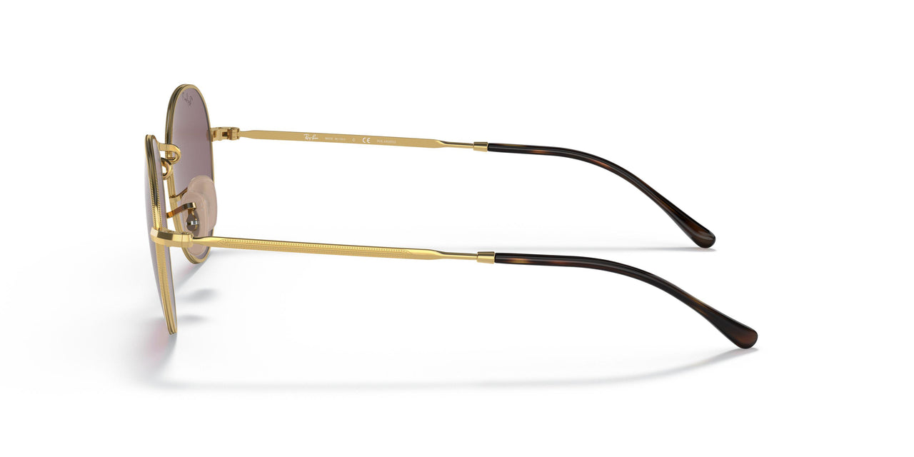 001/AF - Gold - Dark Violet Polar