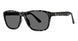 GRTRTS - Grey Tortoise