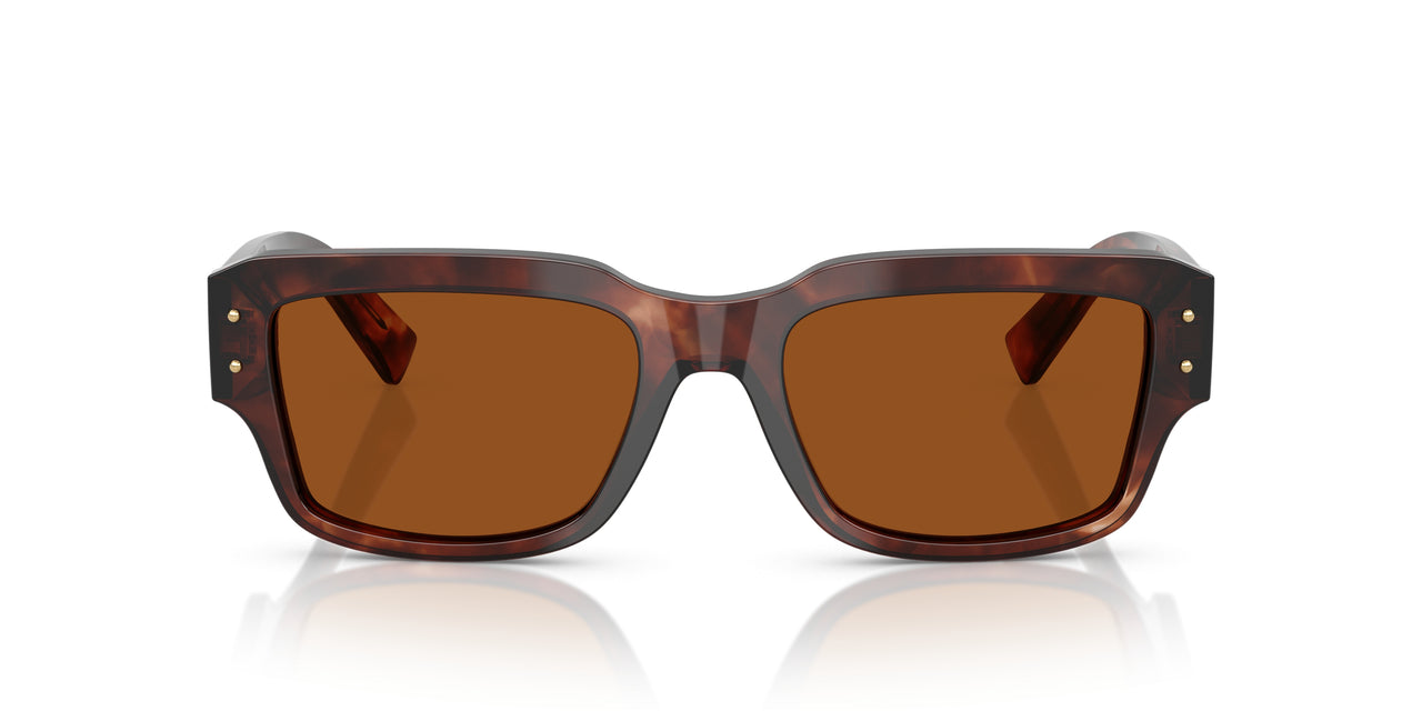 322273 - Red - Dark Brown