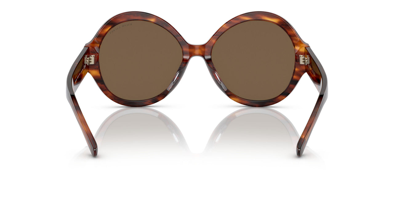 500773 - Havana - Brown