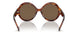 500773 - Havana - Brown