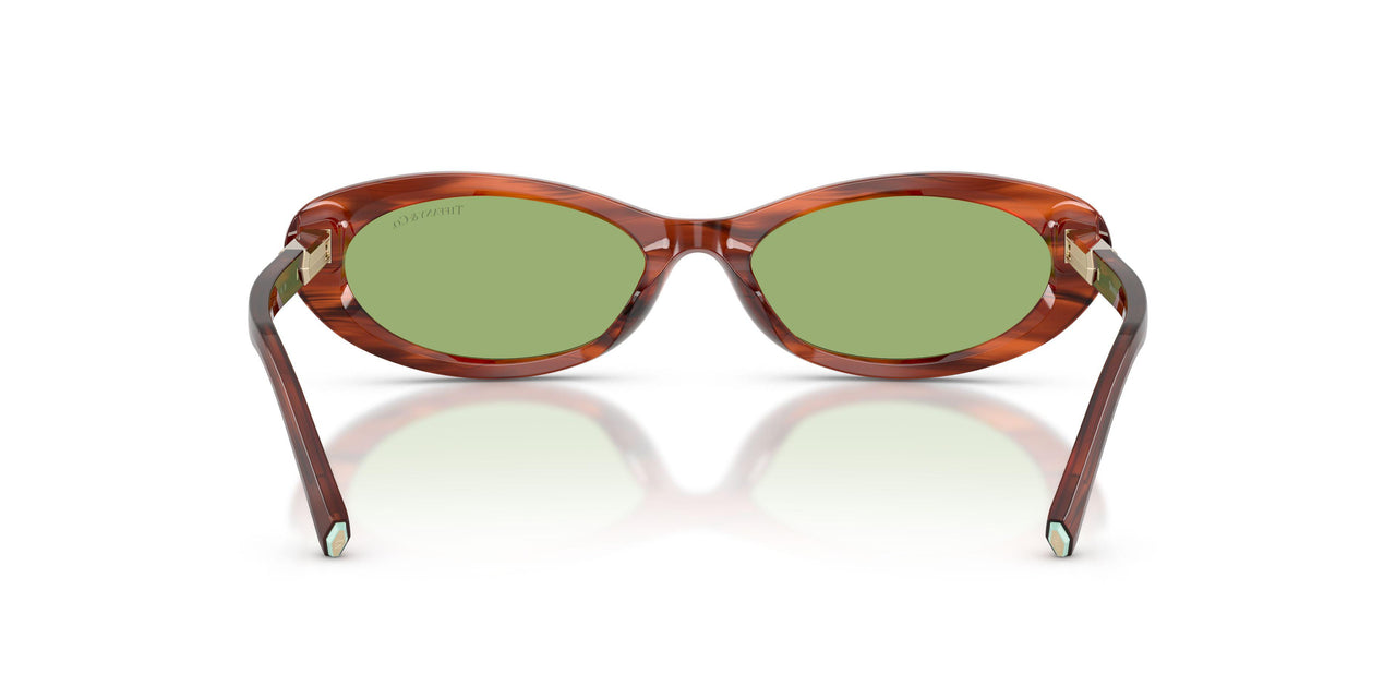 8440/2 - Tortoise - Green