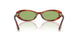 8440/2 - Tortoise - Green