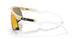 928004 - Brown - Prizm Ruby