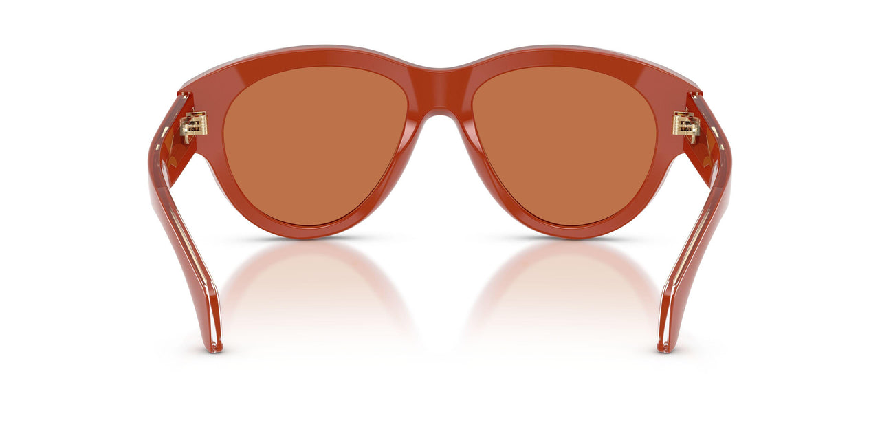 302573 - Orange - Solid Cinnamon