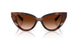 322274 - Red - Brown Gradient