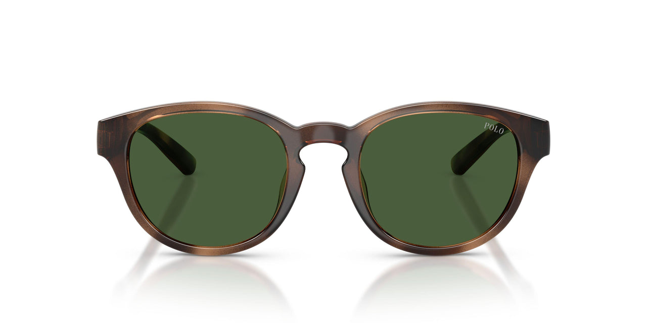 607071 - Tortoise - Bottle Green