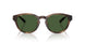607071 - Tortoise - Bottle Green