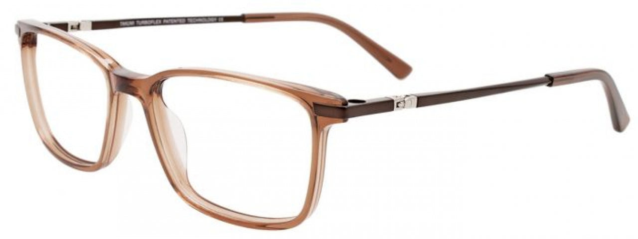 10 - Satin Brown & Shiny Blue/Brown Tortoise