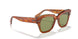 12934E - Top Tortoise/transparent Beige - Bottle Green