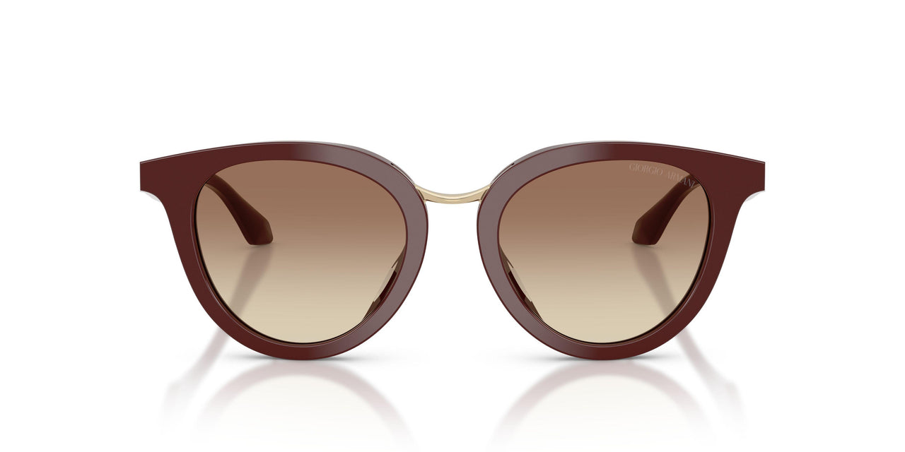 639913 - Violet - Brown Gradient