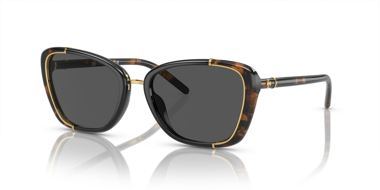 194087 - Tortoise - Dark Grey