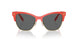 198987 - Red - Dark Grey