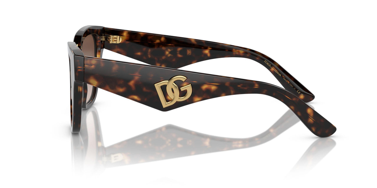 502/13 - Tortoise - Gradient Brown