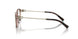 8255 - Brown