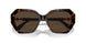 1002M4 - Brown - Photo Brown