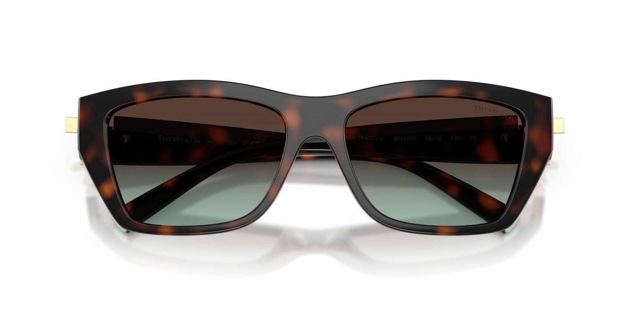 80155D - Tortoise - Azure Gradient Brown