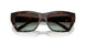 80155D - Tortoise - Azure Gradient Brown