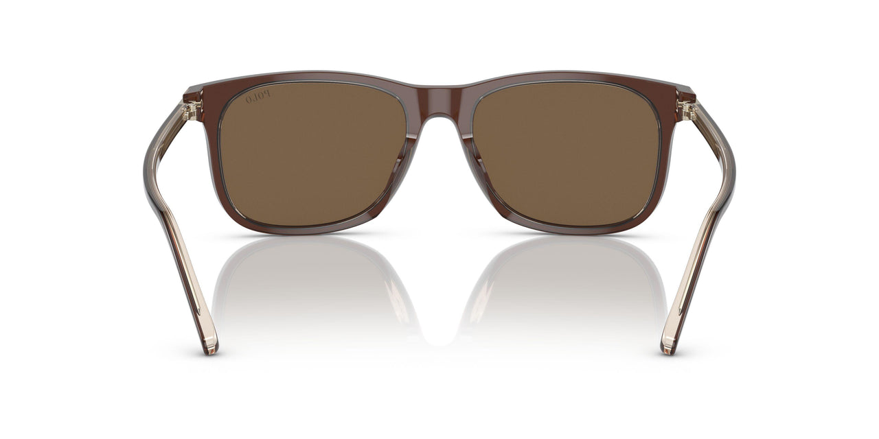 602973 - Brown - Brown