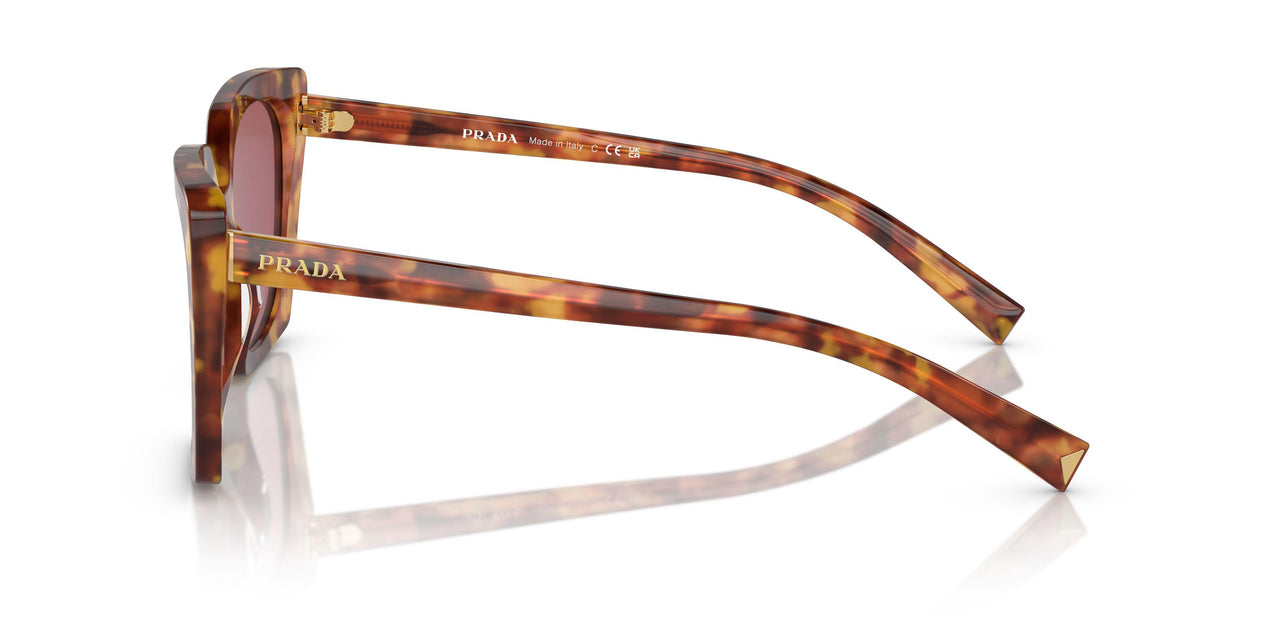 4BW08S - Tortoise - Dark Violet