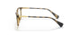 5003 - Brown
