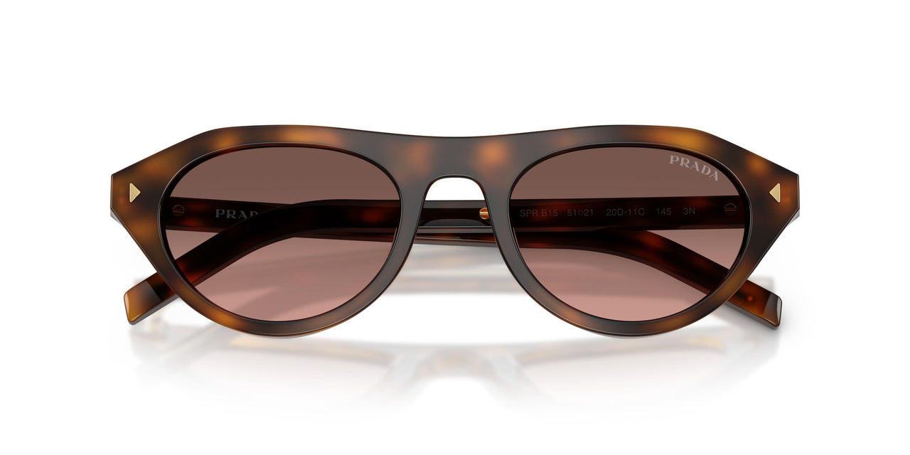 20D11C - Tortoise - Brown Gradient Grey