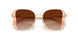 900574 - Brown - Brown Gradient