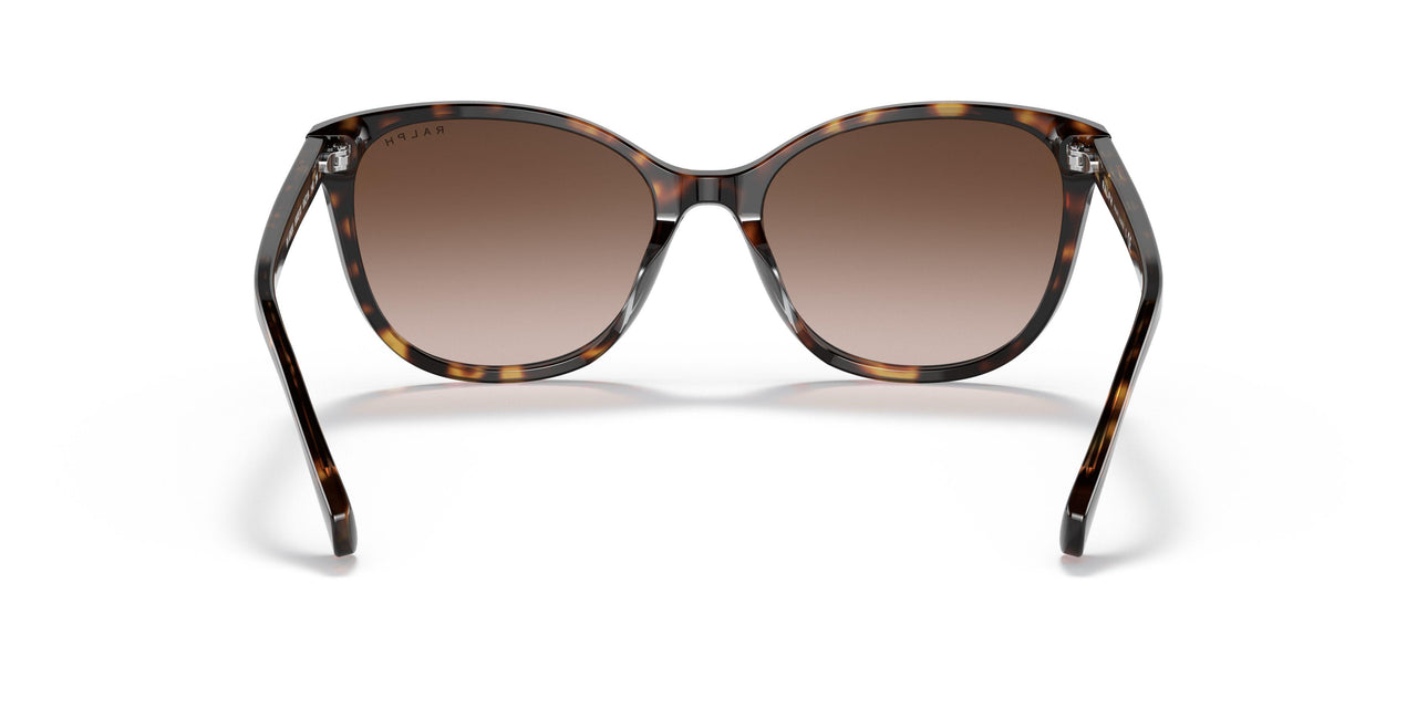 500313 - Havana - Brown Gradient