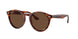 954/AN - Brown - Brown