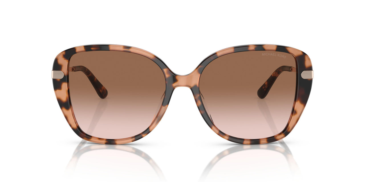 344913 - Tortoise - Brown Pink Gradient