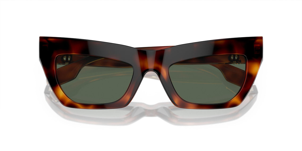 331671 - Tortoise - Dark Green