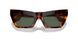 331671 - Tortoise - Dark Green