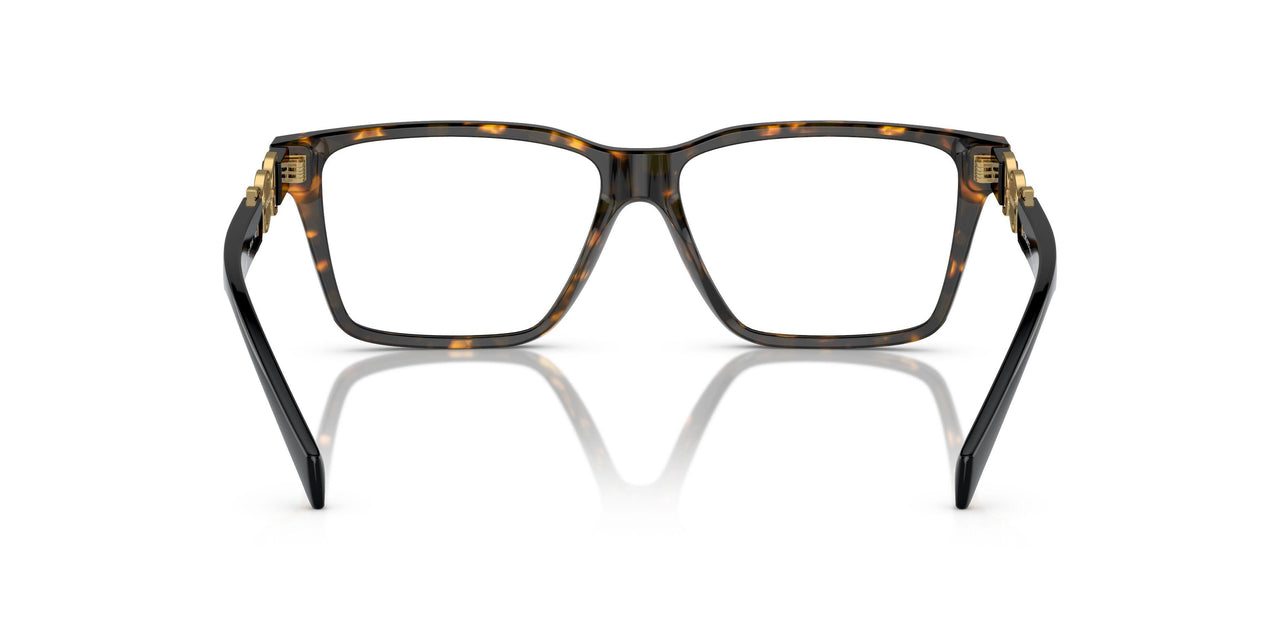 5404 - Tortoise
