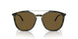 603873 - Green - Dark Brown