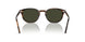 1724P1 - Brown - Green Polarized