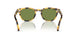 170152 - Black - Green C
