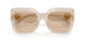 342093 - Ivory - Light Brown
