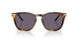 51341A - Tortoise - Purple