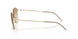 300213 - Gold - Clear Gradient Light Brown