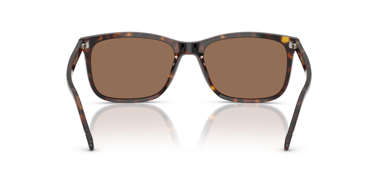 W65673 - Brown - Dark Brown