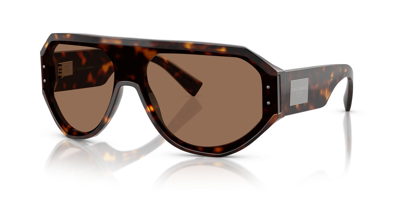 502/73 - Tortoise - Dark Brown