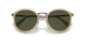 116931 - Brown - Green