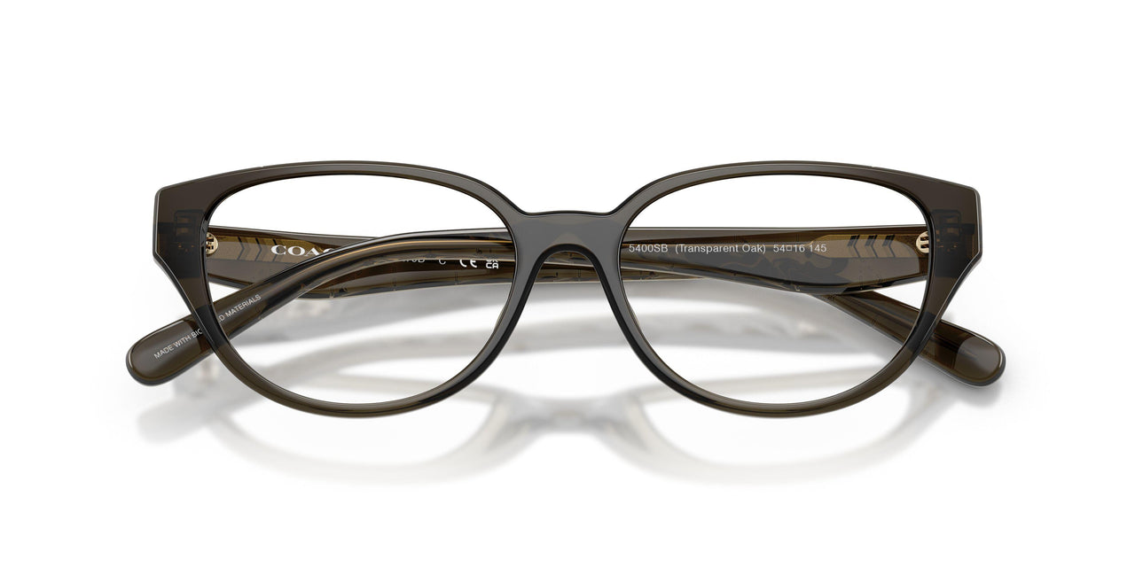 5400SB - Brown - Clear