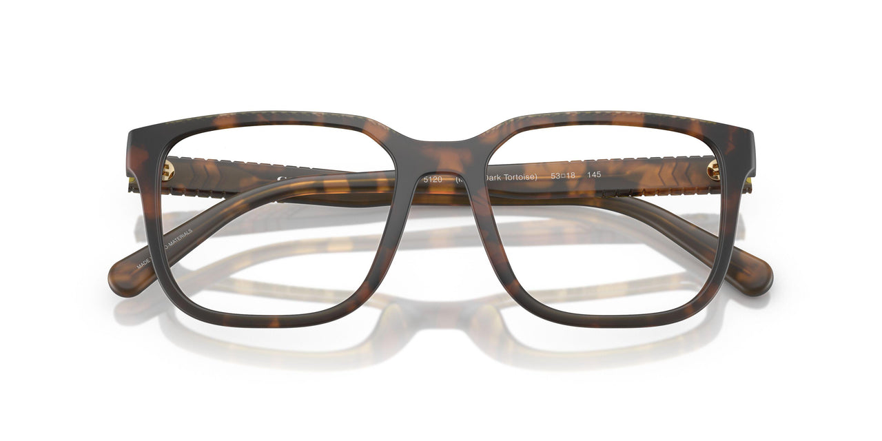 5120 - Tortoise