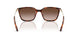 821313 - Tortoise - Brown Gradient