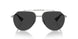 136648 - Silver - Polarized Black