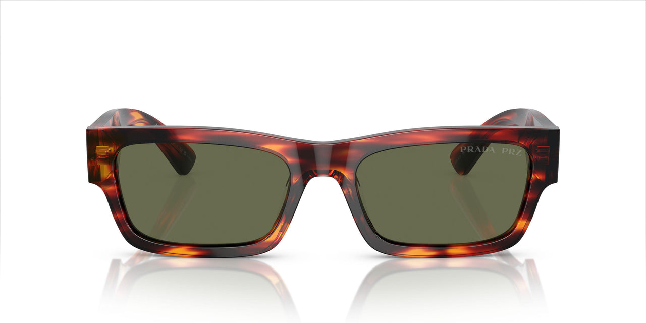 13O03R - Brown - Green Polar