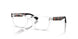 Polo Prep 8555U Eyeglasses