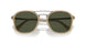 116931 - Brown - Green